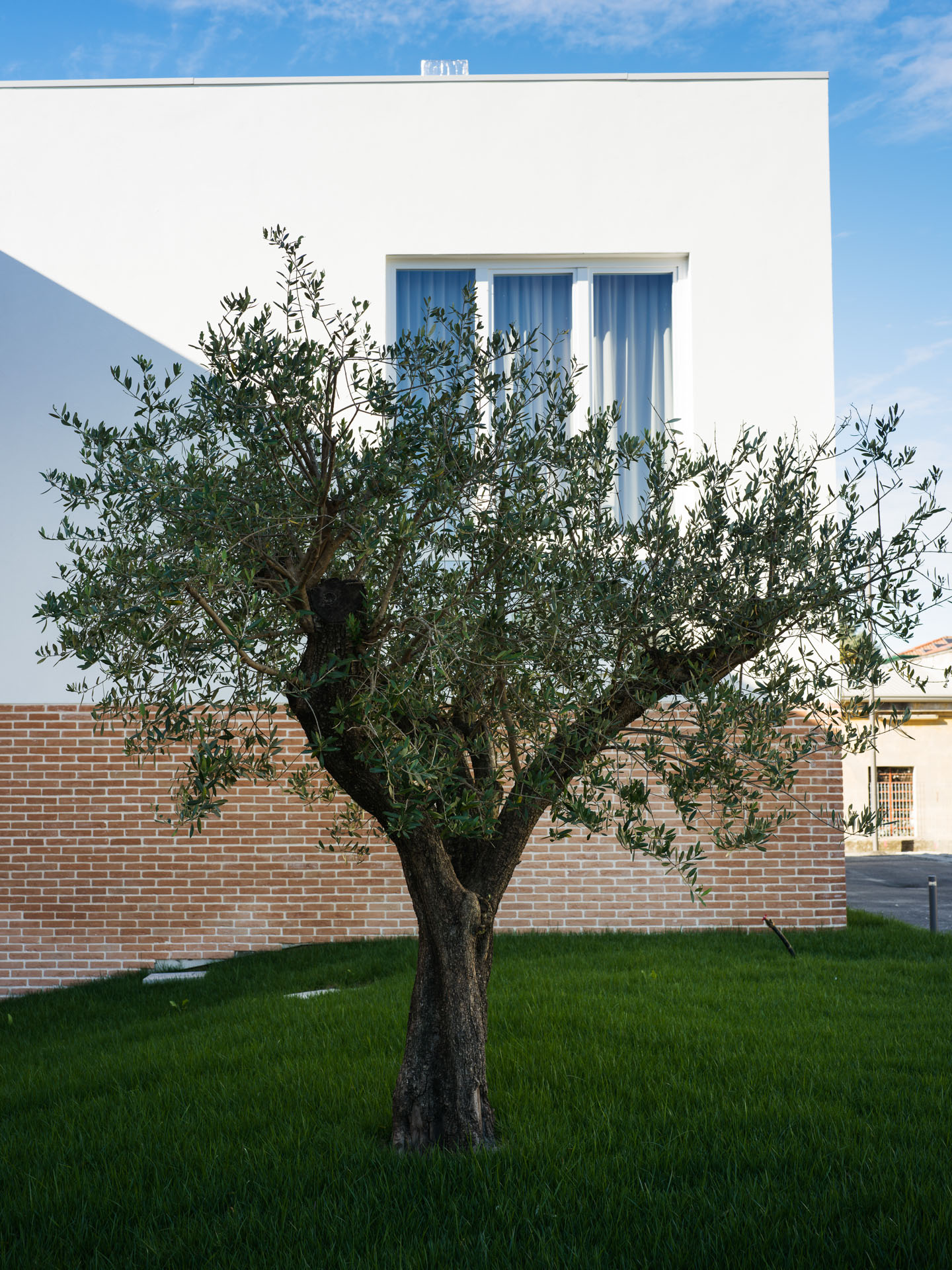 De-facci-spa-progetto-scuola-victory-padova_B0007668_p_p_Lr_web_hd