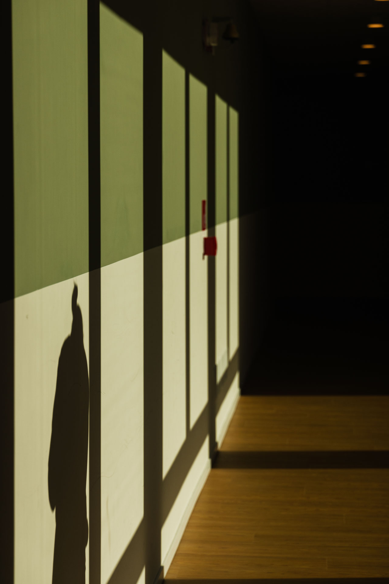 De-facci-spa-progetto-scuola-victory-padova_L2100448_p_p_Lr_web_hd