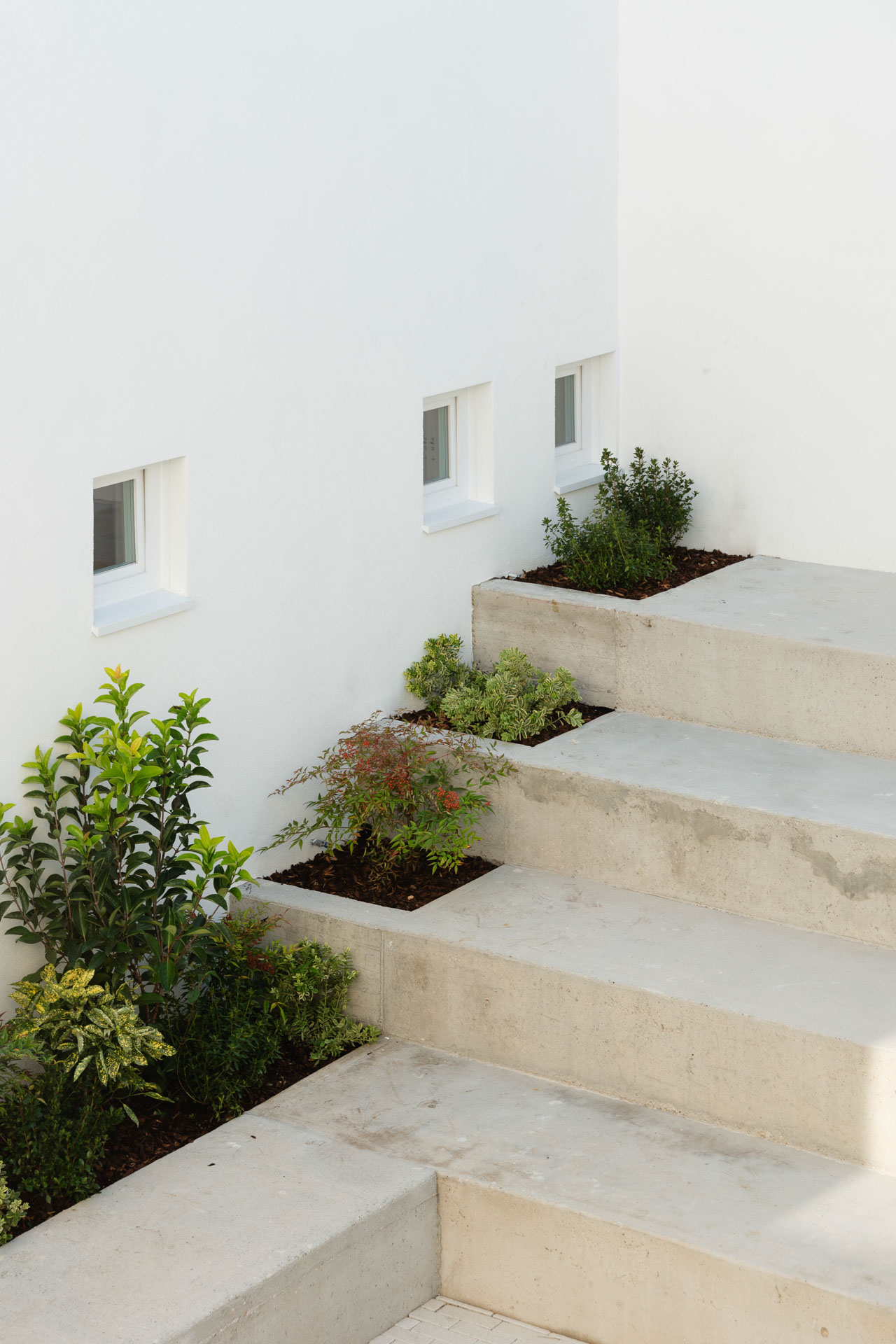 De-facci-spa-progetto-scuola-victory-padova_L2100500_p_p_Lr_web_hd