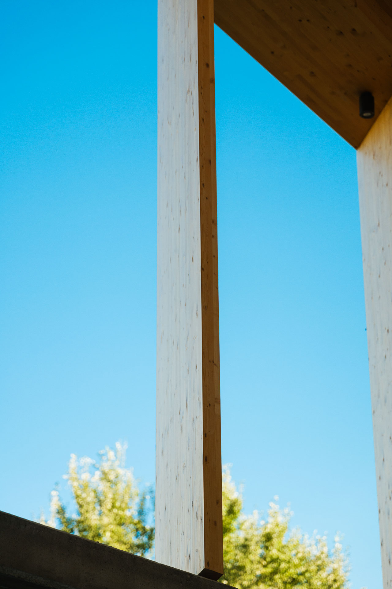 De-facci-spa-progetto-scuola-victory-padova_L2100547_p_p_Lr_web_hd