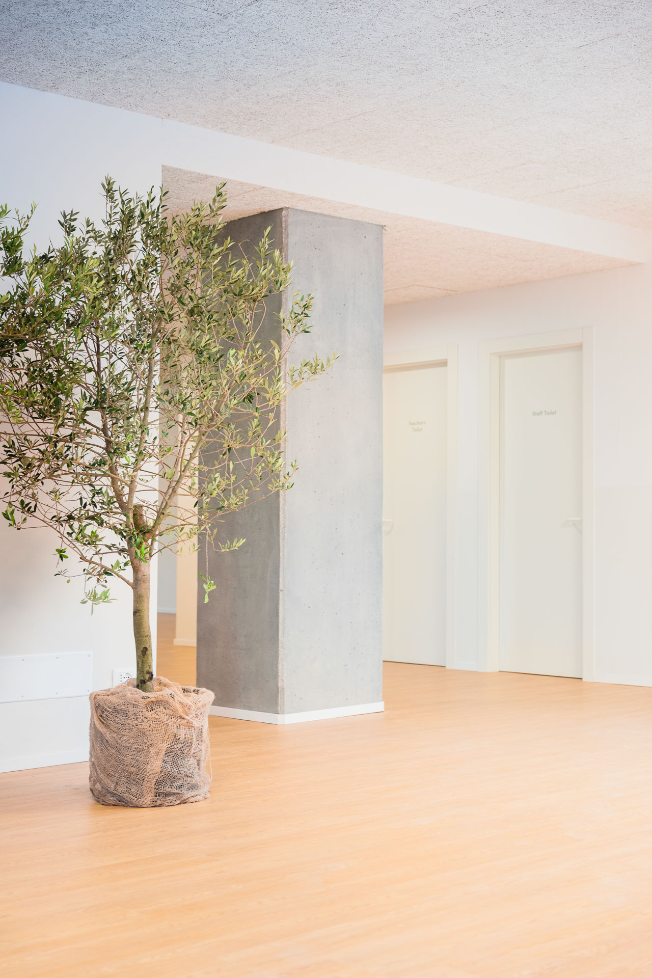 De-facci-spa-progetto-scuola-victory-padova_L2100565_p_p_Lr_web_hd