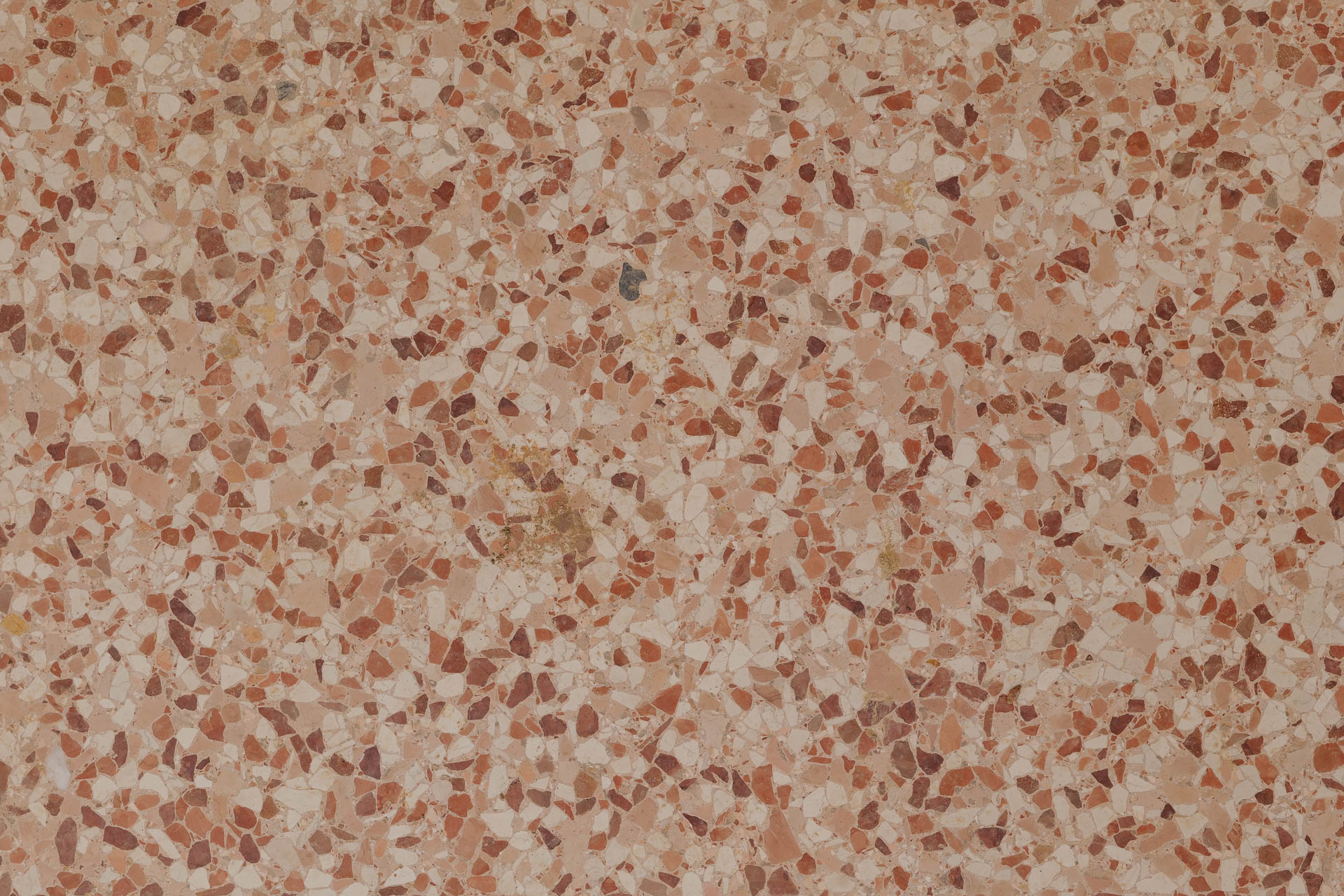 De-facci-spa-villa-palladiana-restauro_L1200002_p_Lr_web_hd